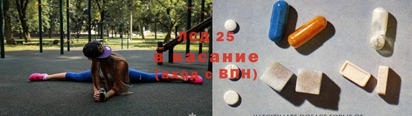 стаф Богданович
