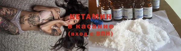стаф Богданович