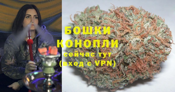 стаф Богданович